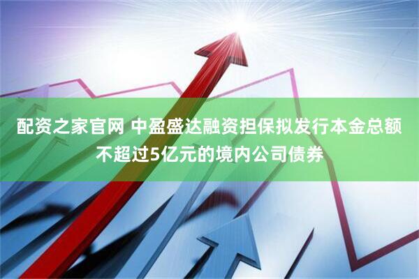 配资之家官网 中盈盛达融资担保拟发行本金总额不超过5亿元的境内公司债券
