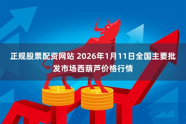 正规股票配资网站 2026年1月11日全国主要批发市场西葫芦价格行情