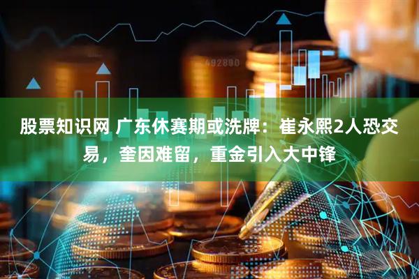 股票知识网 广东休赛期或洗牌：崔永熙2人恐交易，奎因难留，重金引入大中锋