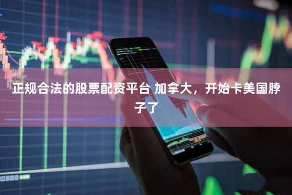 正规合法的股票配资平台 加拿大,开始卡美国脖子了