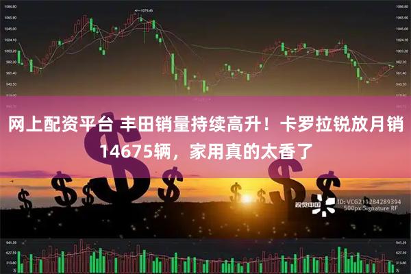 网上配资平台 丰田销量持续高升！卡罗拉锐放月销14675辆，家用真的太香了