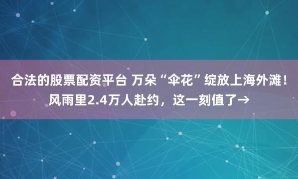 合法的股票配资平台 万朵“伞花”绽放上海外滩！风雨里2.4万人赴约，这一刻值了→